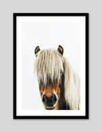 Photographic Horse Art Print | Contemporary Art NZ | Popular Art NZ | The Good Poster Co.