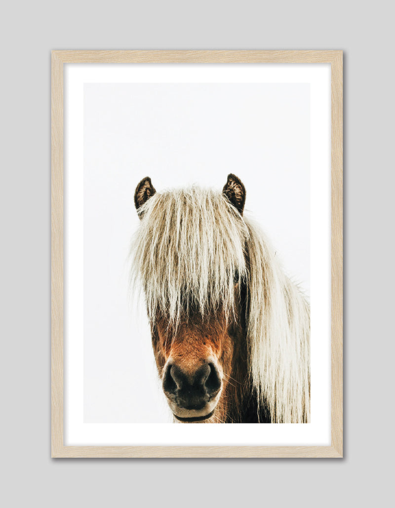 Photographic Horse Art Print | Contemporary Art NZ | Popular Art NZ | The Good Poster Co.