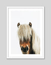 Photographic Horse Art Print | Contemporary Art NZ | Popular Art NZ | The Good Poster Co.