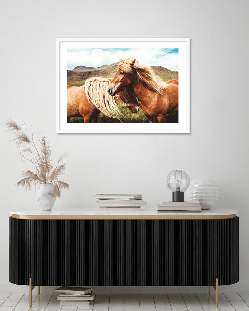Contemporary Icelandic Horses Art Print | Photography Art NZ | The Good Poster Co.