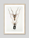 Indian Antilopes Art Print by John Gray | Vintage Animal Art | The Good Poster Co.