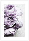 Floral Art Prints | Botanical Artwork | Contemporary Art NZ | The Good Poster Co.