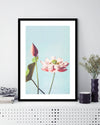 Lotus Flower Art Print by Ogawa Kazumasa