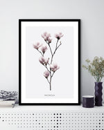 Contemporary Magnolia Flower Art Print