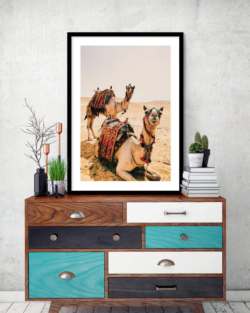 Travel Photographic Art | Camel Art Prints NZ | The Good Poster Co.