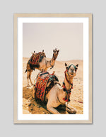 Travel Photographic Art | Camel Art Prints NZ | The Good Poster Co.