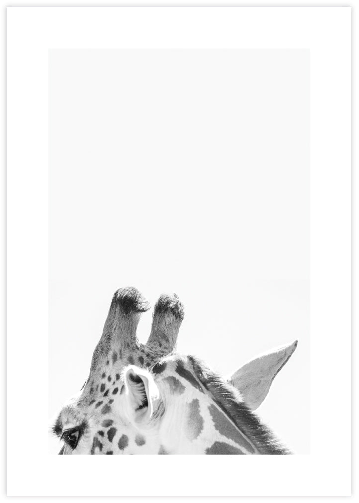 Scandinavian Giraffe Art Print | Black & White Art