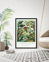 Native Birds of New Zealand by William Shaw Diedrich | Vintage NZ Art | Bird Art NZ | The Good Poster Co.