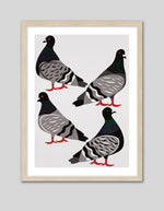 Pigeon Power Art Print by Leanne Simpson