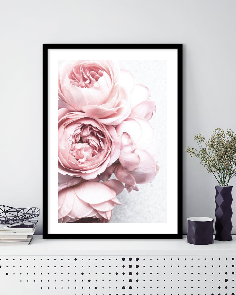 Contemporary Pink Peonies Art Print