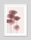 Contemporary Dried Poppies Art Print