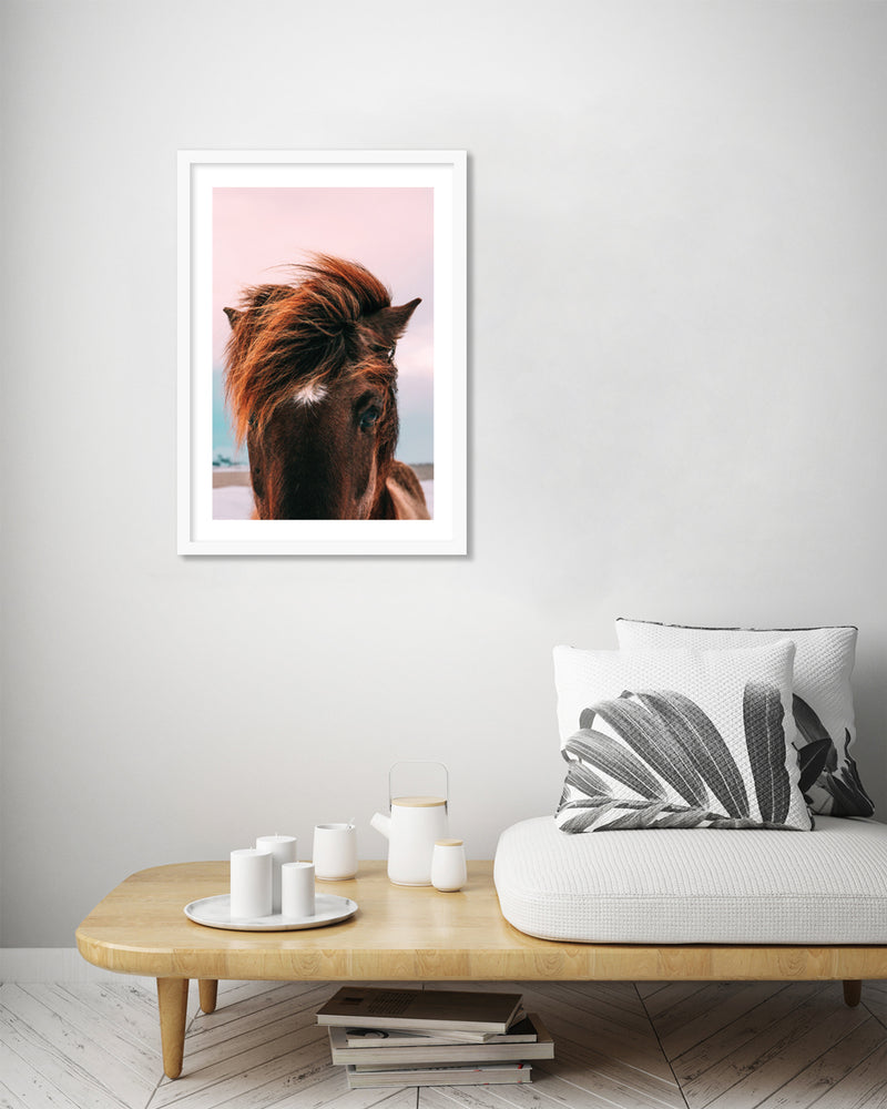 Photographic Horse Art Print | Contemporary Art NZ | Popular Art NZ | The Good Poster Co.