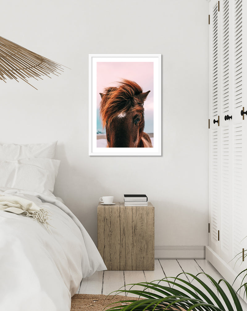 Photographic Horse Art Print | Contemporary Art NZ | Popular Art NZ | The Good Poster Co.