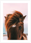Photographic Horse Art Print | Contemporary Art NZ | Popular Art NZ | The Good Poster Co.