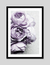 Floral Art Prints | Botanical Artwork | Contemporary Art NZ | The Good Poster Co.