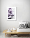 Floral Art Prints | Botanical Artwork | Contemporary Art NZ | The Good Poster Co.