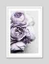 Floral Art Prints | Botanical Artwork | Contemporary Art NZ | The Good Poster Co.