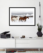 Horse Photographic Art Print | Contemporary Art NZ | The Good Poster Co.