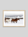Horse Photographic Art Print | Contemporary Art NZ | The Good Poster Co.