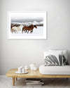 Horse Photographic Art Print | Contemporary Art NZ | The Good Poster Co.