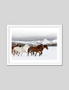 Horse Photographic Art Print | Contemporary Art NZ | The Good Poster Co.