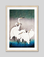 Snowy Egrets Art Print by Ohara Koson