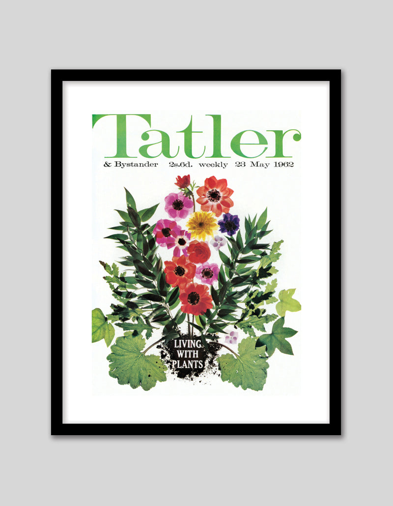 Living with Plants 1962 by Tatler Magazine | Vintage Art NZ | The Good Poster Co.