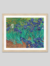 Irises by Vincent van Gogh | Vincent van Gogh Art Prints | The Good Poster Co.