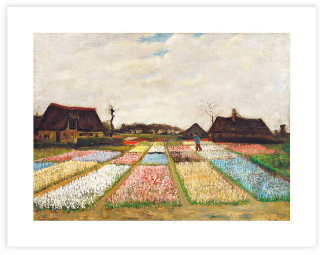 Flower Beds in Holland by Vincent van Gogh | Museum Art NZ | The Good Poster Co.