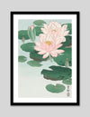 Water Lily by Ohara Koson | Vintage Japanese Art | Vintage Art NZ | The Good Poster Co.