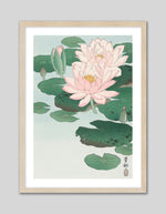 Water Lily by Ohara Koson | Vintage Japanese Art | Vintage Art NZ | The Good Poster Co.